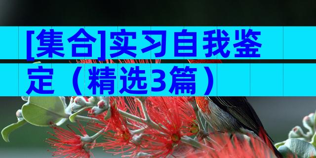 [集合]实习自我鉴定（精选3篇）